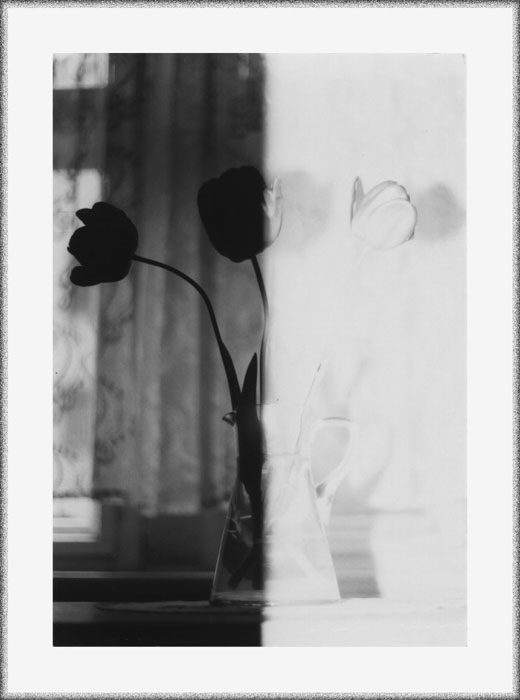 jin a jang
